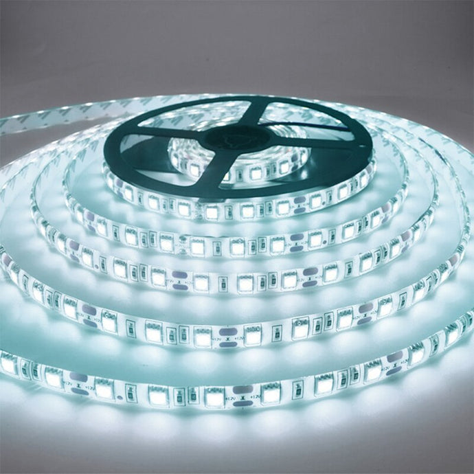 5M LED Neon Wall Light